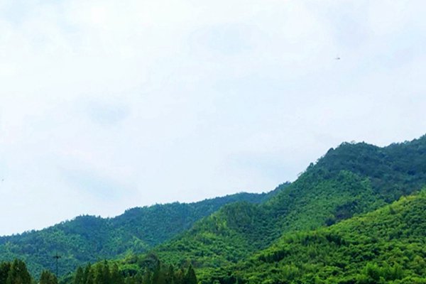 安徽省宣城市步步落實層層推進“大氣攻堅戰”  