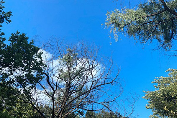 烏魯木齊道路積塵治理有妙招：動態監測 聯合督導，助力空氣質量改善